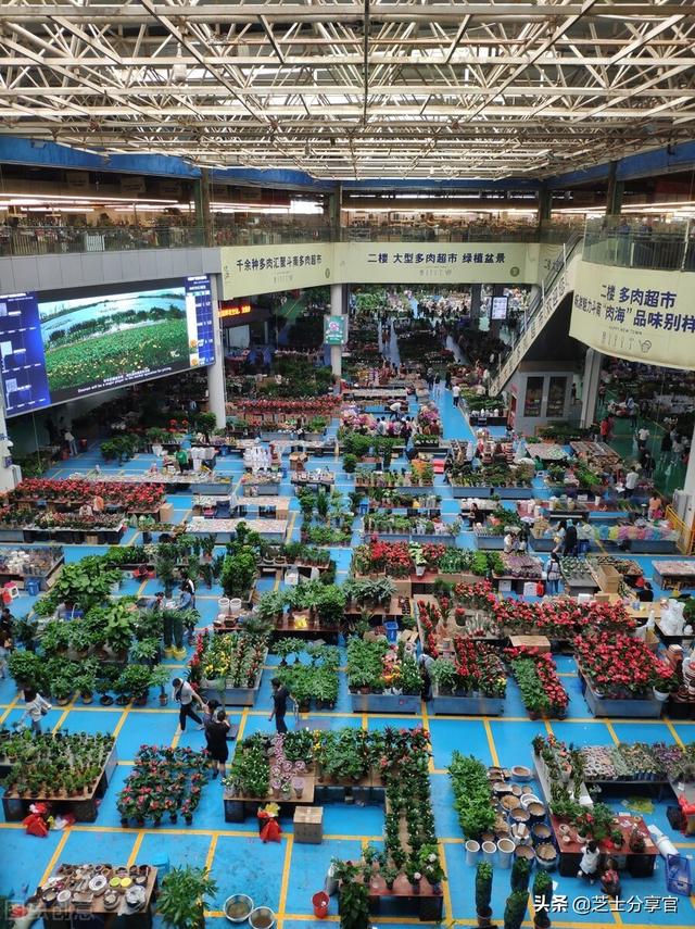 昆明鮮花批發(fā)市場地址，昆明鮮花批發(fā)市場地址電話？