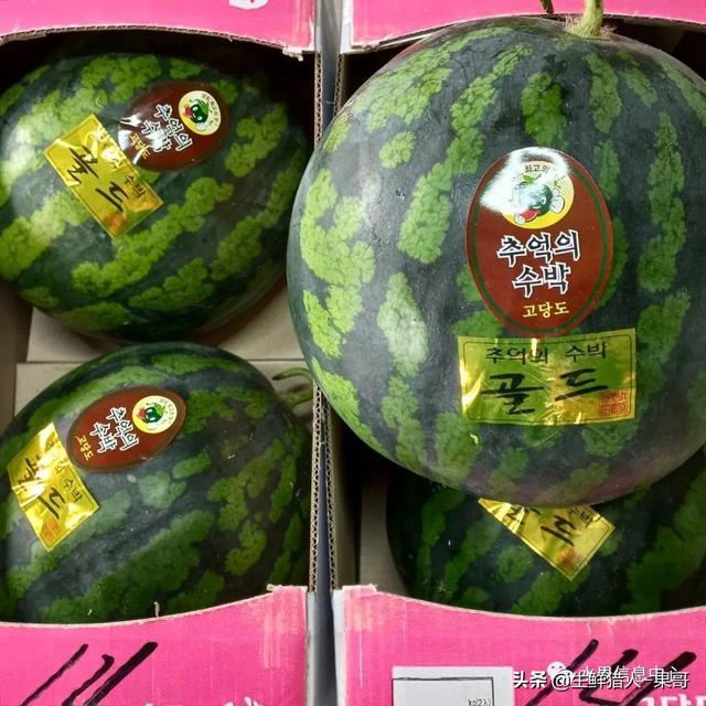 想賣水果怎么找貨源高州地區(qū)，想賣水果怎么找貨源高州地區(qū)的？