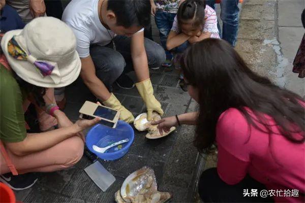 珍珠批發(fā)一手貨源在哪里拿貨，全國珍珠批發(fā)一手貨源在哪里？