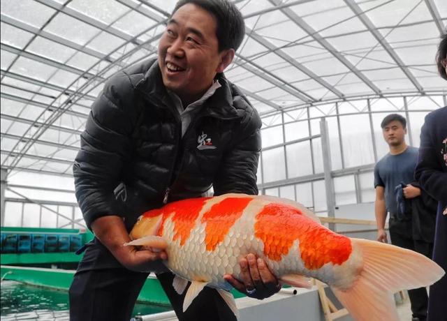 觀賞魚批發(fā)從哪里進(jìn)貨最便宜_汕頭市，汕頭觀賞魚批發(fā)市場在哪里？