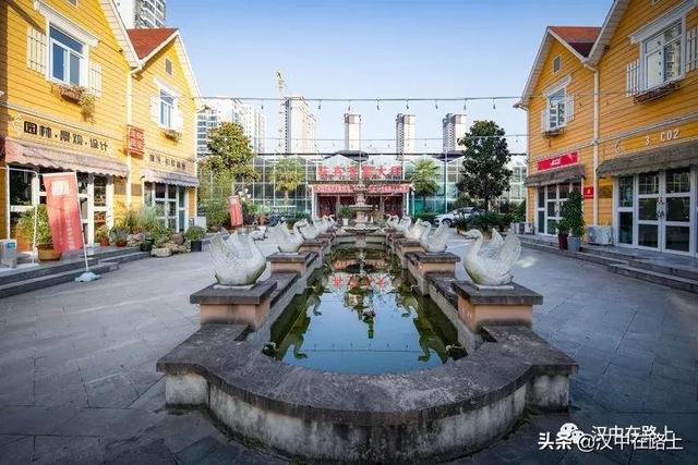 觀賞魚在哪批發(fā)，汕頭寵物魚批發(fā)在哪里？