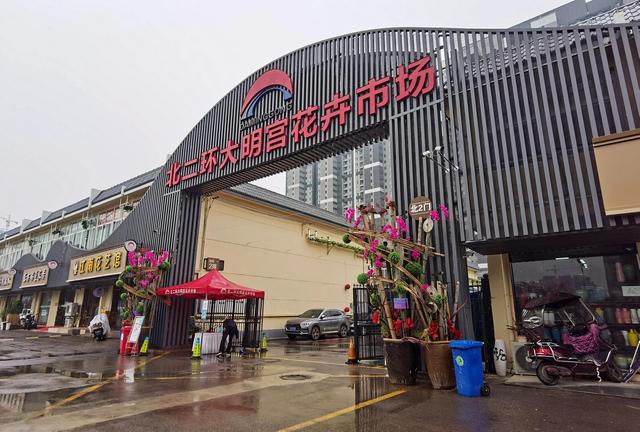 廣州花卉市場批發(fā)在哪里進，廣州花卉市場批發(fā)在哪里賣？