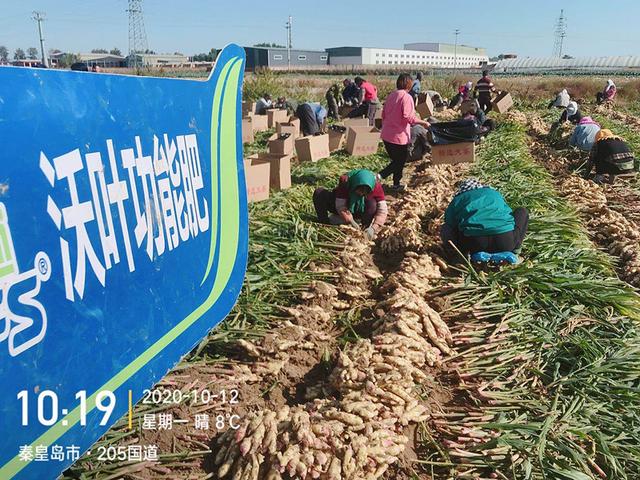 南寧肥料批發(fā)市場，南寧肥料廠家？