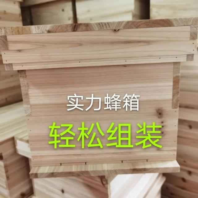 蜂箱怎么賣，哪里有蜂箱賣,多少錢一個(gè)？