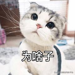 花店鮮花進貨渠道有哪些，花店鮮花進貨渠道有哪些問題？