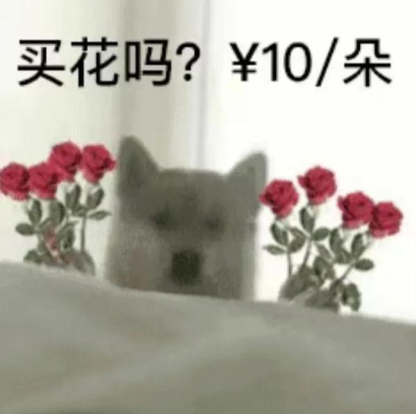 廣州的花卉批發(fā)市場，廣州哪里批發(fā)花卉市場？