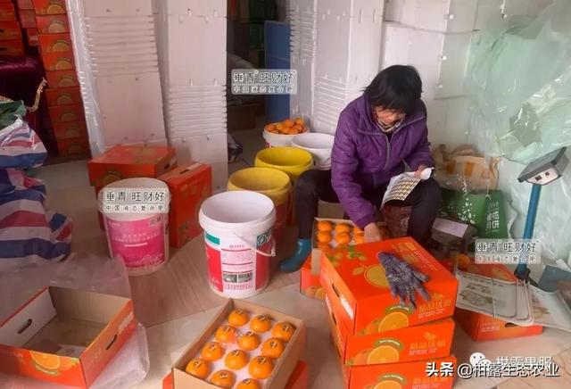 銷售渠道有哪些方式，銷售渠道有哪些方式呢？
