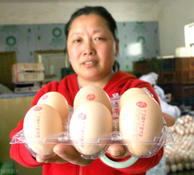 如何找到做鴨的渠道，想當(dāng)鴨子有什么途徑？
