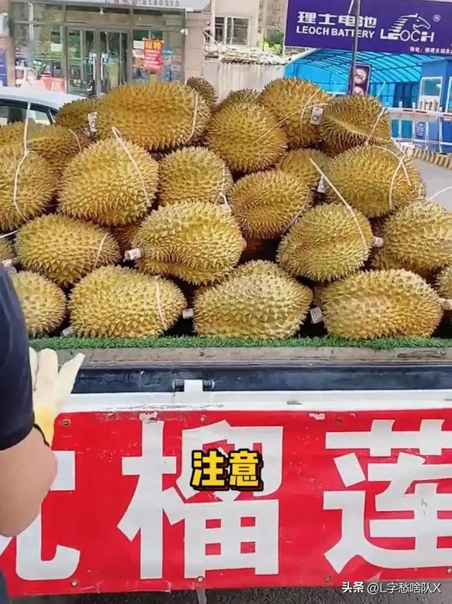 泰國榴蓮進貨渠道有哪些，泰國榴蓮進貨渠道有哪些品牌？