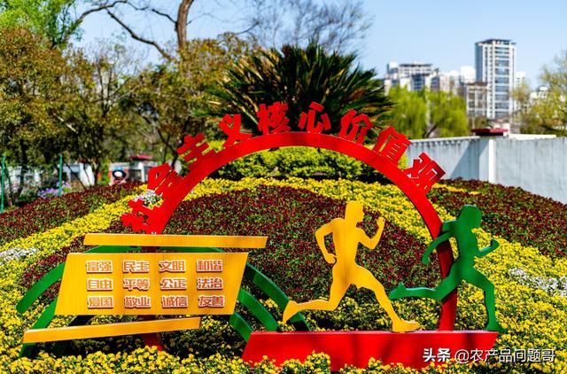 農(nóng)副產(chǎn)品一手貨源批發(fā)網(wǎng)，哪里有一手農(nóng)產(chǎn)品貨源？