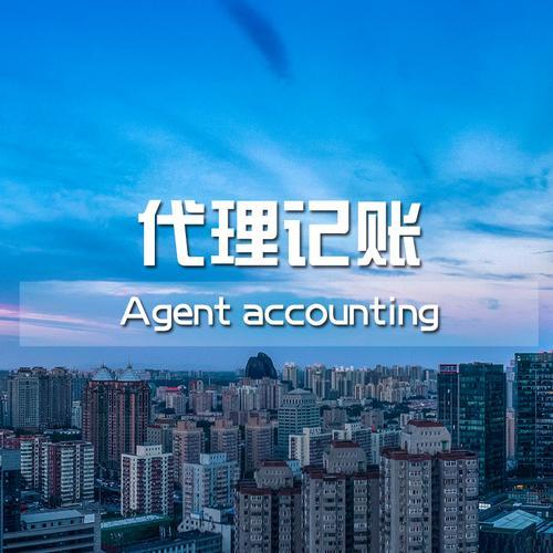 代理記賬的業(yè)務(wù)范圍如何，代理記賬的業(yè)務(wù)范圍如何寫？