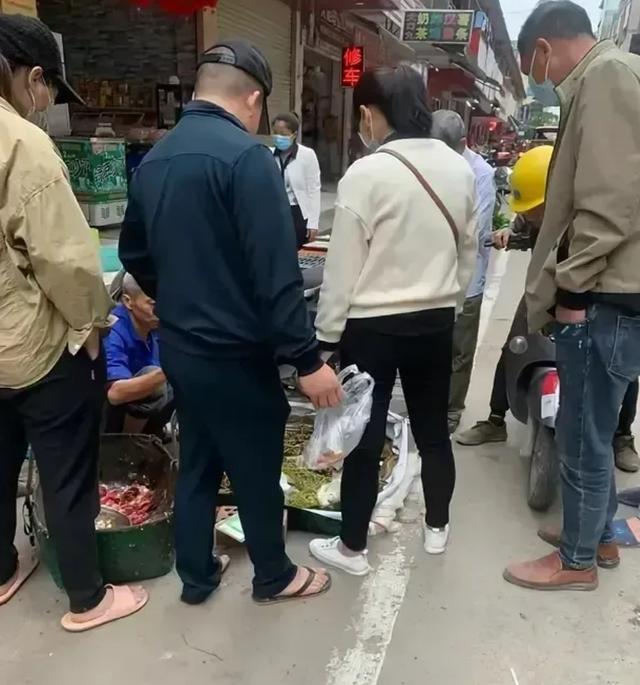 水草批發(fā)市場進貨渠道在哪里，水草商家進貨渠道？