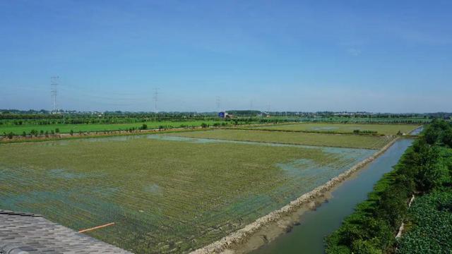 湖北潛江龍蝦批發(fā)市場電話，湖北潛江龍蝦批發(fā)市場電話號碼？
