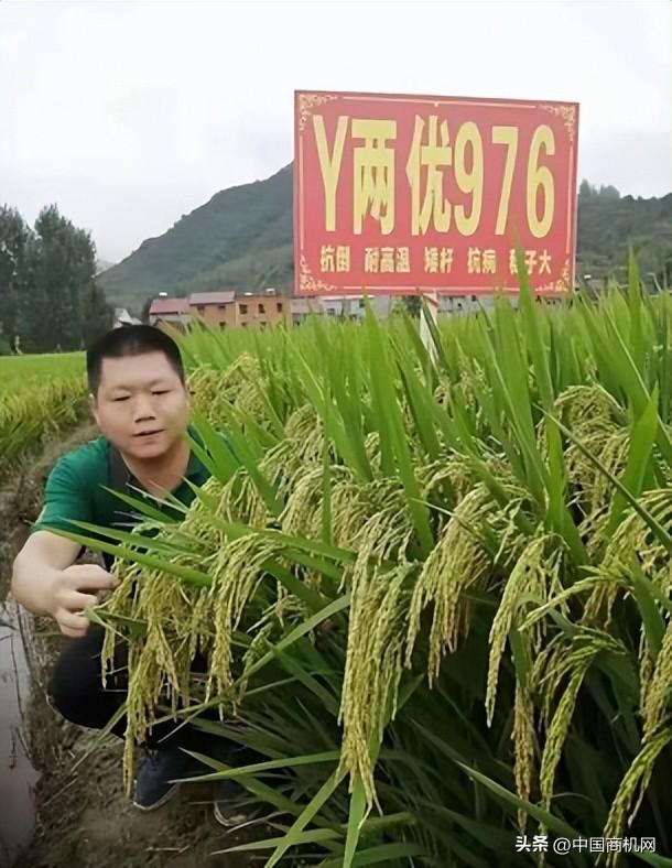 各種貨源批發(fā)網(wǎng)，買賣貨源網(wǎng)？