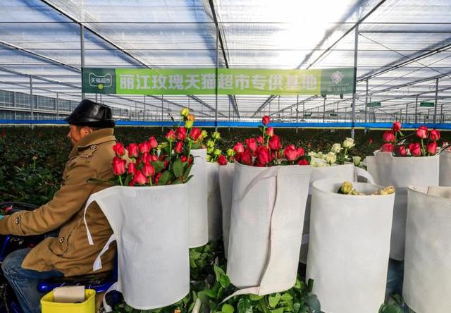 天貓超市的貨源供應(yīng)商是什么，天貓超市的貨源供應(yīng)商是什么意思？