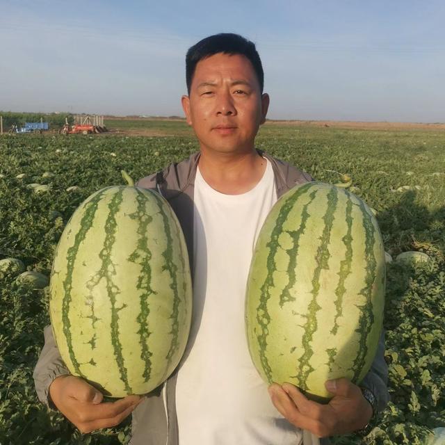 微信賣水果貨源一手貨源，微信賣水果貨源一手貨源可靠嗎？