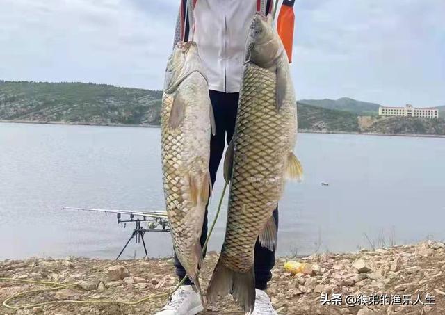 德州釣組釣法，德州釣組控餌手法？