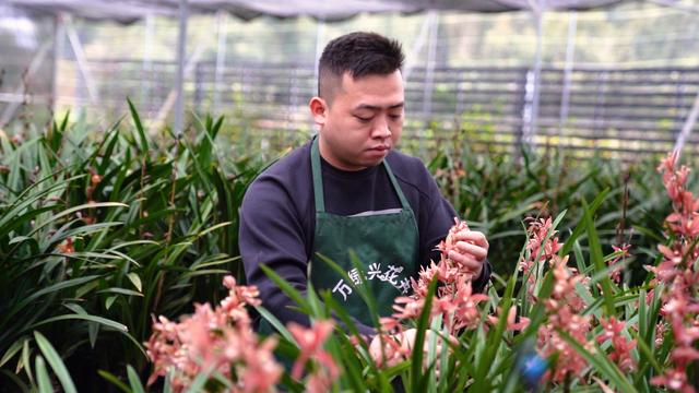 淘寶拼多多熱銷朝蘭貨源拿貨是真的嗎，淘寶拼多多熱銷朝蘭貨源拿貨是真的嗎安全嗎？