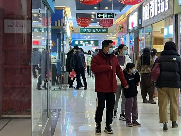 淘寶寵物商店網(wǎng)店貨源怎么找不到，淘寶寵物商店網(wǎng)店貨源怎么找的？
