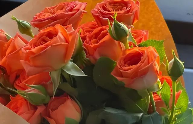 鮮花貨源在線批發(fā)采購平臺，鮮花貨源在線批發(fā)采購平臺有哪些？