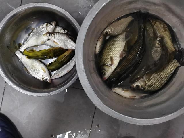 拼多多買魚鉤，拼多多買魚鉤怎么這么便宜？