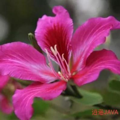 網(wǎng)店怎么與貨源伙伴友好相處呢英語(yǔ)，網(wǎng)店找貨源怎么談合作？