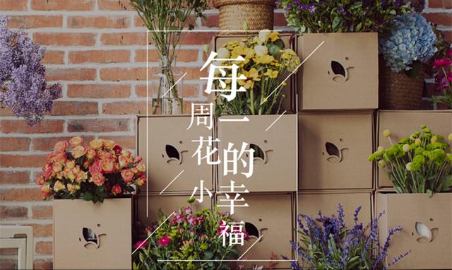 怎么找花卉基地批發(fā)，想開花卉貨源哪里進？