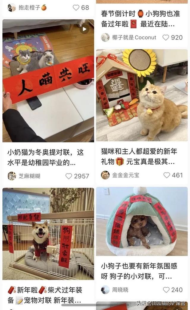 拼多多生鮮貨源，拼多多生鮮貨源怎么找？