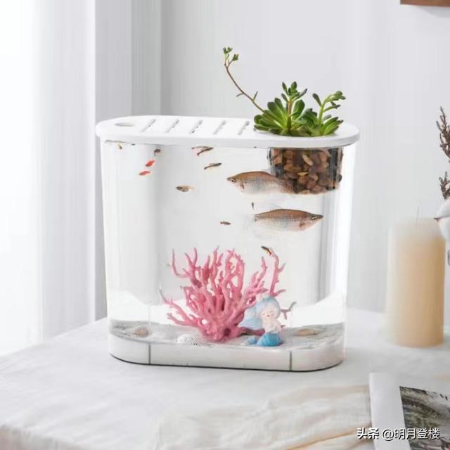 淘寶拼多多熱銷魚缸帶柜貨源拿貨是真的嗎，淘寶拼多多熱銷魚缸帶柜貨源拿貨是真的嗎安全嗎？