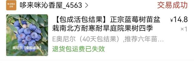 淘寶拼多多熱銷綠植設(shè)計貨源拿貨是真的嗎可信嗎，拼多多賣綠植？