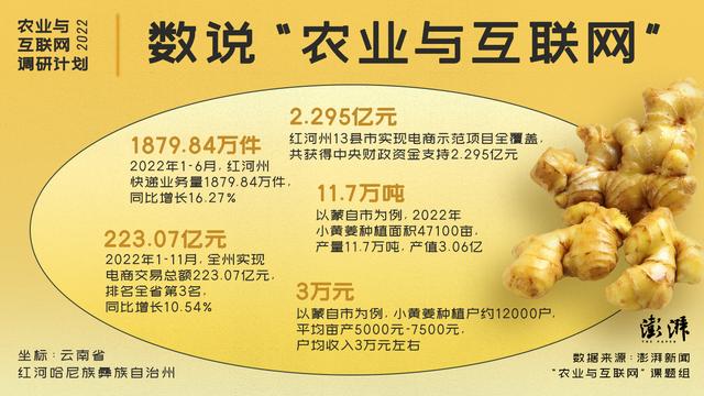 淘寶拼多多熱銷姜貨源拿貨是真的嗎，淘寶拼多多熱銷姜貨源拿貨是真的嗎安全嗎？