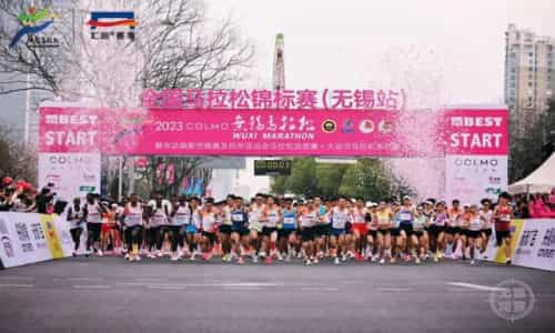 花架批發(fā)廠家直銷，花架批發(fā)廠家直銷店？